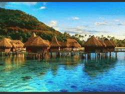 polynesie